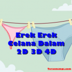 Erek Erek Celana Dalam 2D 3D 4D di Buku Mimpi Dan Kode Alam