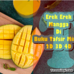 Erek Erek Mangga Dalam Buku Tafsir Mimpi 2D 3D 4D